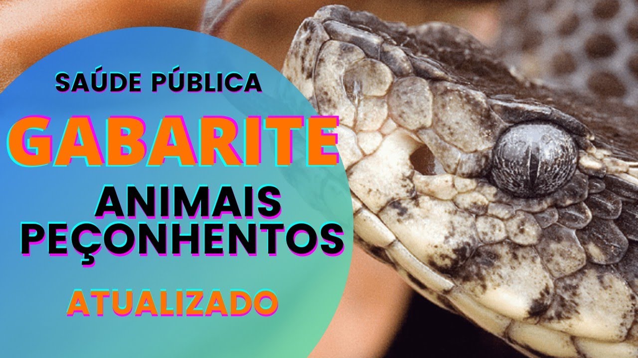 ✅ [COMO GABARITAR] ANIMAIS PEÇONHENTOS- SERPENTES DE FORMA FÁCIL EM CONCURSOS E RESIDÊNCIAS