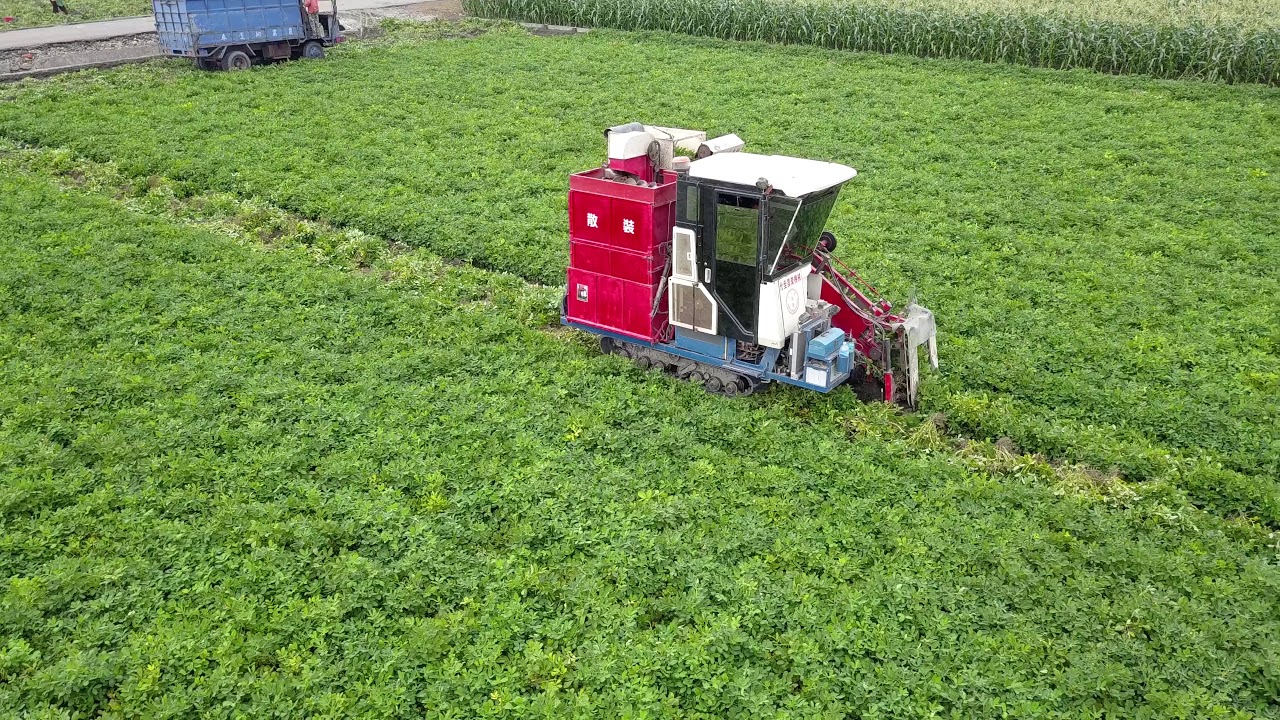 2018-06-16 雲林元長黑金剛花生的故鄉 花生採收機 允全農業機械 散裝落花生收獲機 雲林農業首都 農業之美空拍(雲林阿輝拍攝)