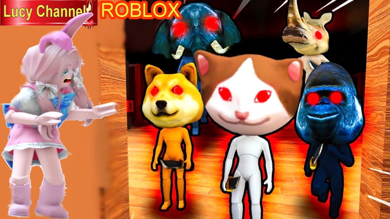TRIỆU HỒI MÈO SA TANG ĐỂ TÌM ĐIỀU ƯỚC | ZOOO ROBLOX