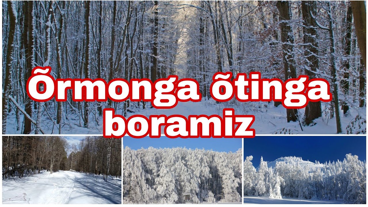 Õrmonga õtinga boramiz. Sohib Qudratov