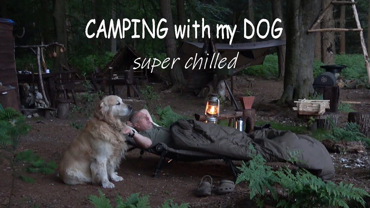 CAMPING with my DOG
