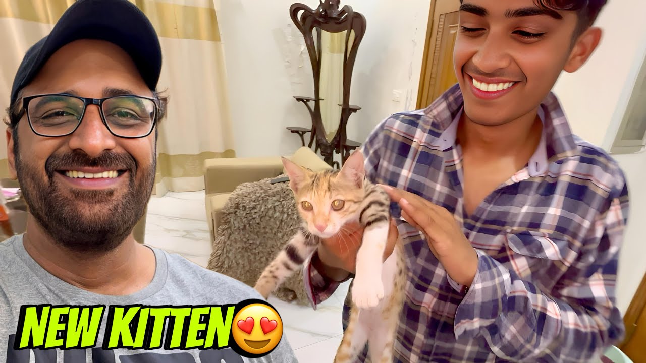 Our New Family Member 😍 Ye Kitten Kahan se a Gaya 🤔