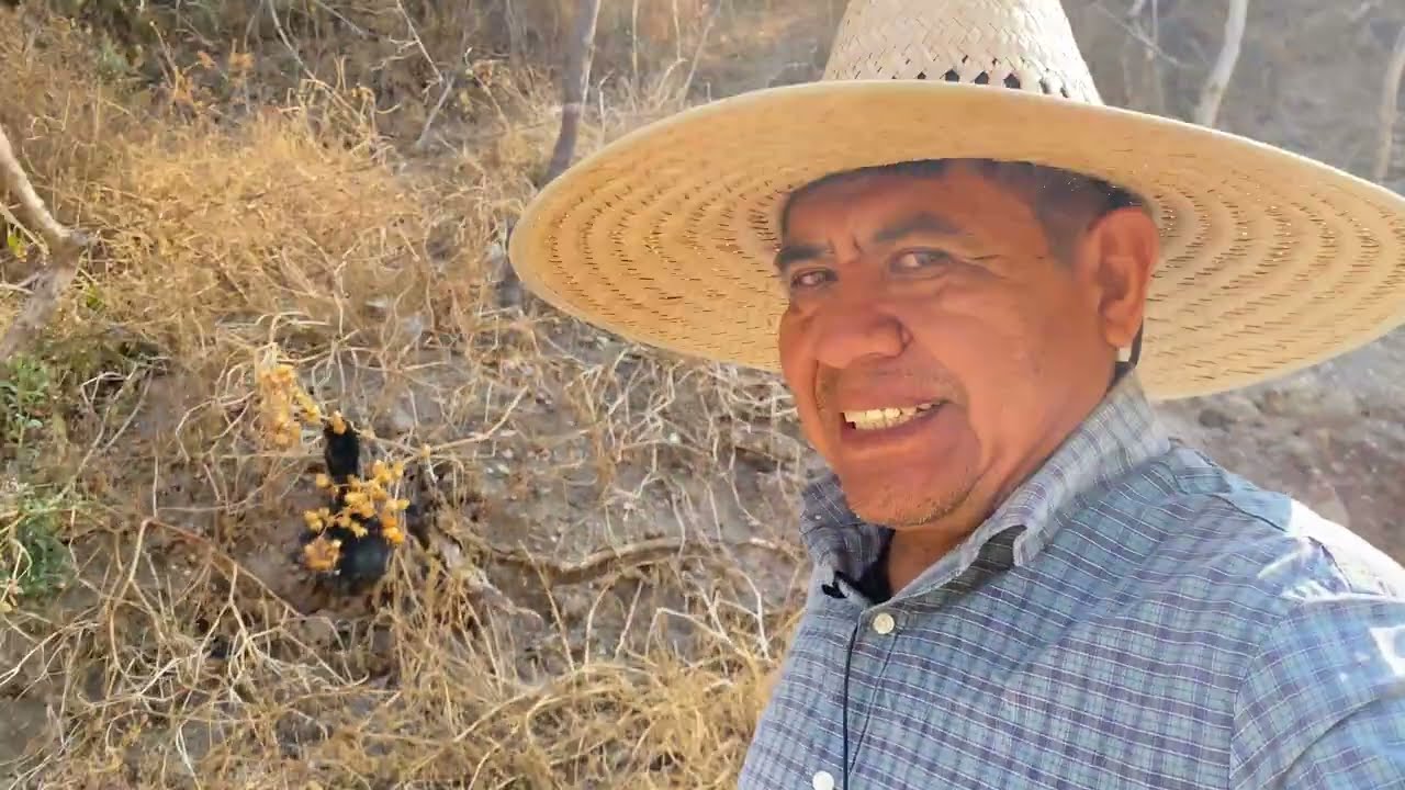 Vía nueva en san Pedro Ocotlan