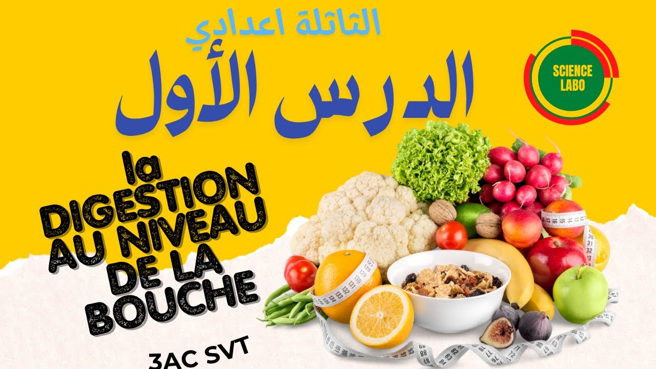الهضم على مستوى الفم - la digestion au niveau de la bouche