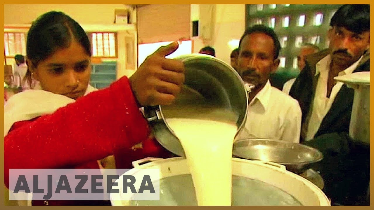 Boutique dairy farms on the rise in India