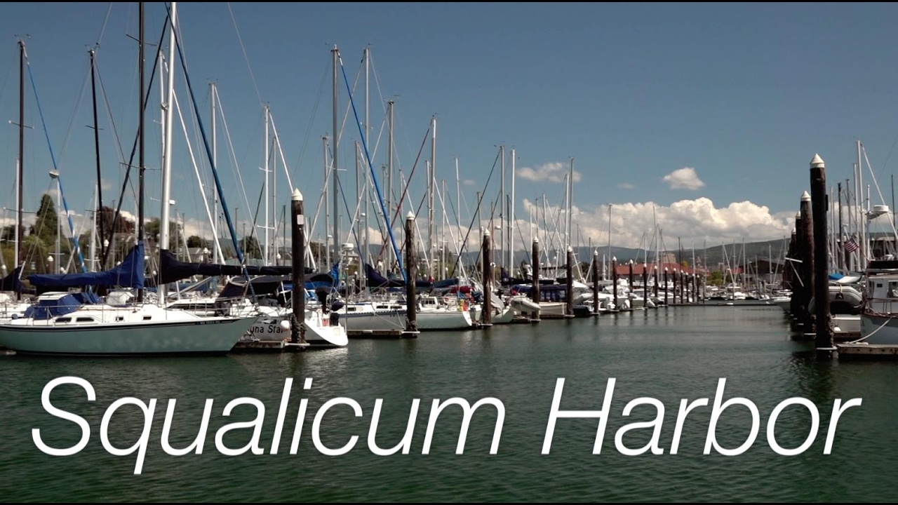 Welcome to Squalicum Harbor