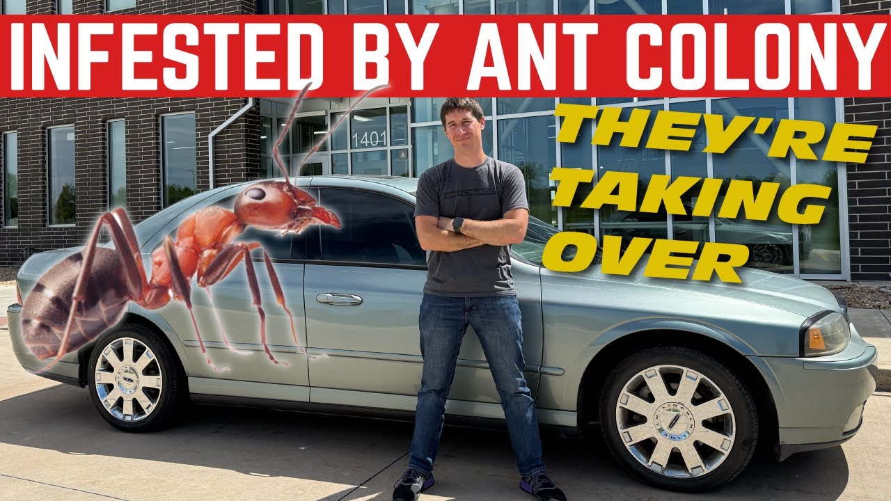 The TRADE UP Lincoln LS Is INFESTED With ANTS *Must Be Stopped*