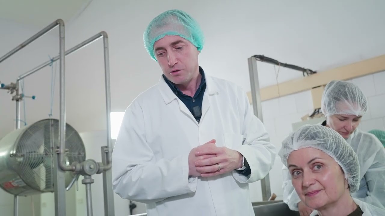 Spracovanie ovčieho mlieka.