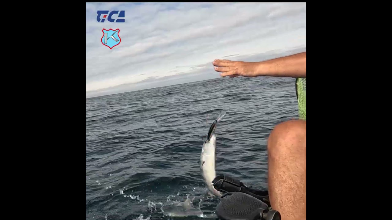 SARRAJ&Atilde;O - Trolling #fishingmethod  #fishing #fish #galaxykayaks #amorim&dias