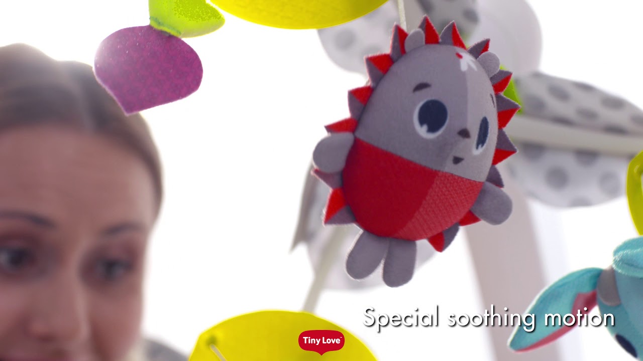 Tiny Love Soothe n groove Mobile