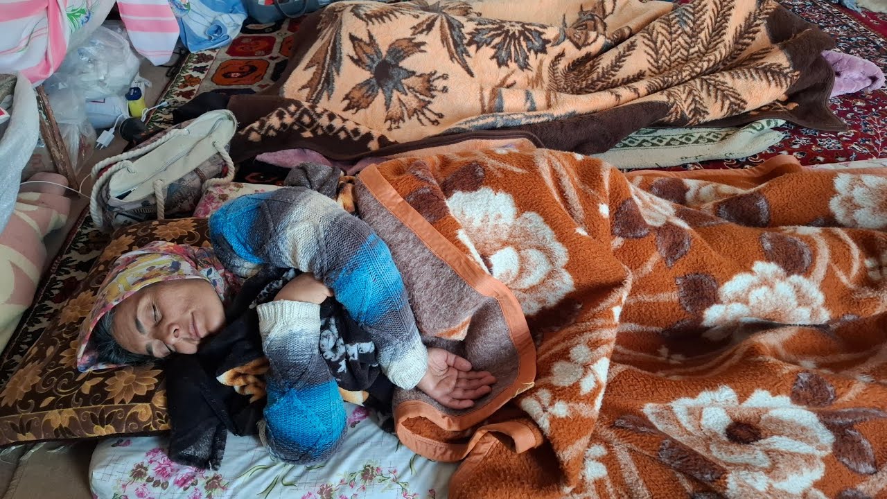 Nomadic Life — Unbelievable Lamb Birth on a Winter Morning & Traditional Nomadic Cooking 