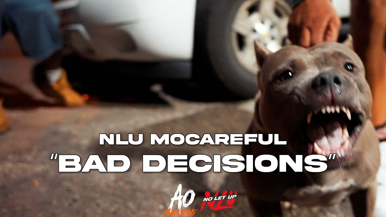NLU MoCareful - 