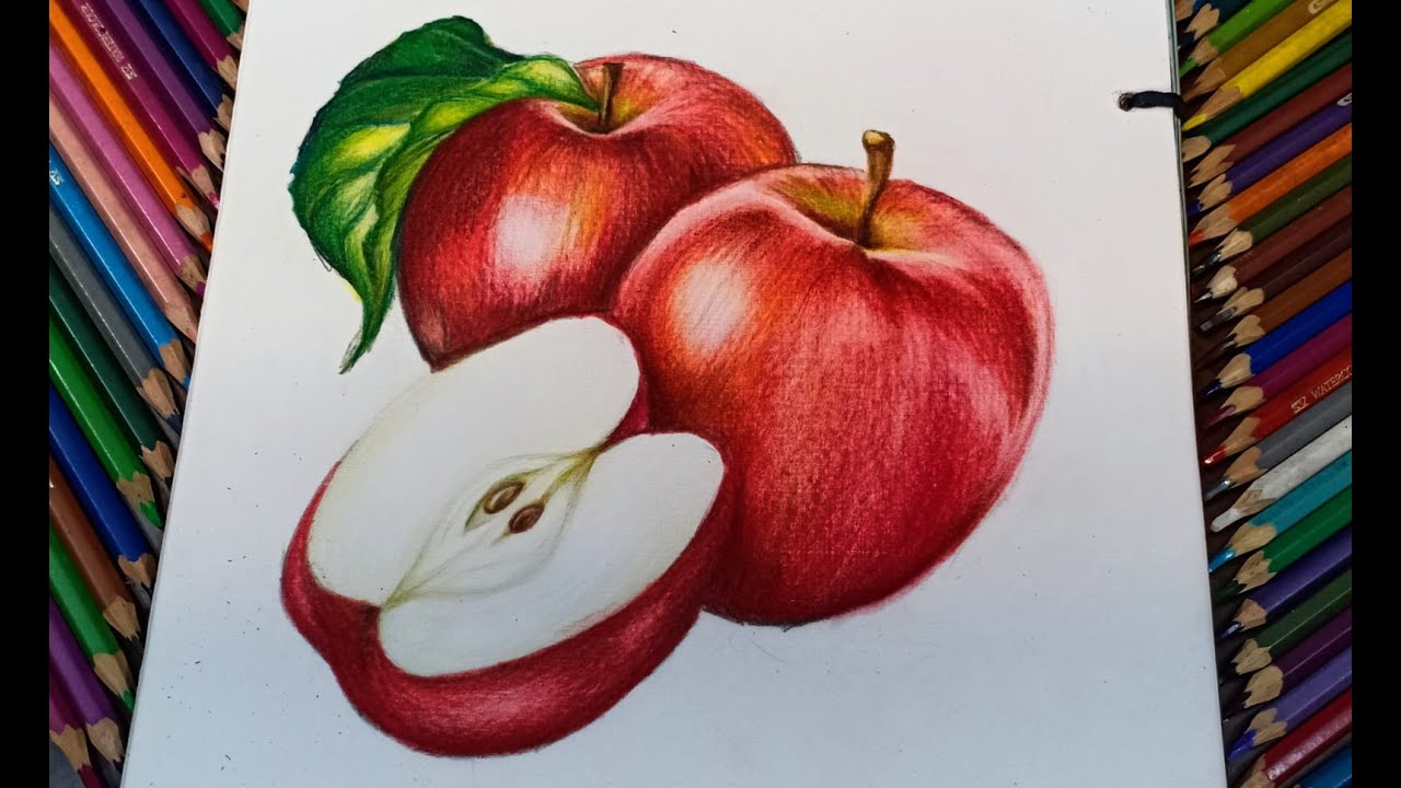 تعلم اساسيات التلوين بالالوان الخشب 🖌️🎨