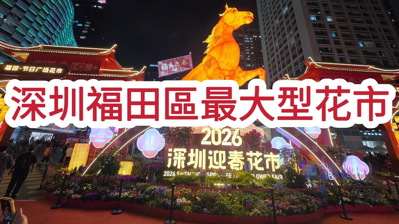 [年宵市場] 深圳福田區最大型花市 新年年花賀年裝飾 賀年食品 小食茶飲 香港人熱門花市！