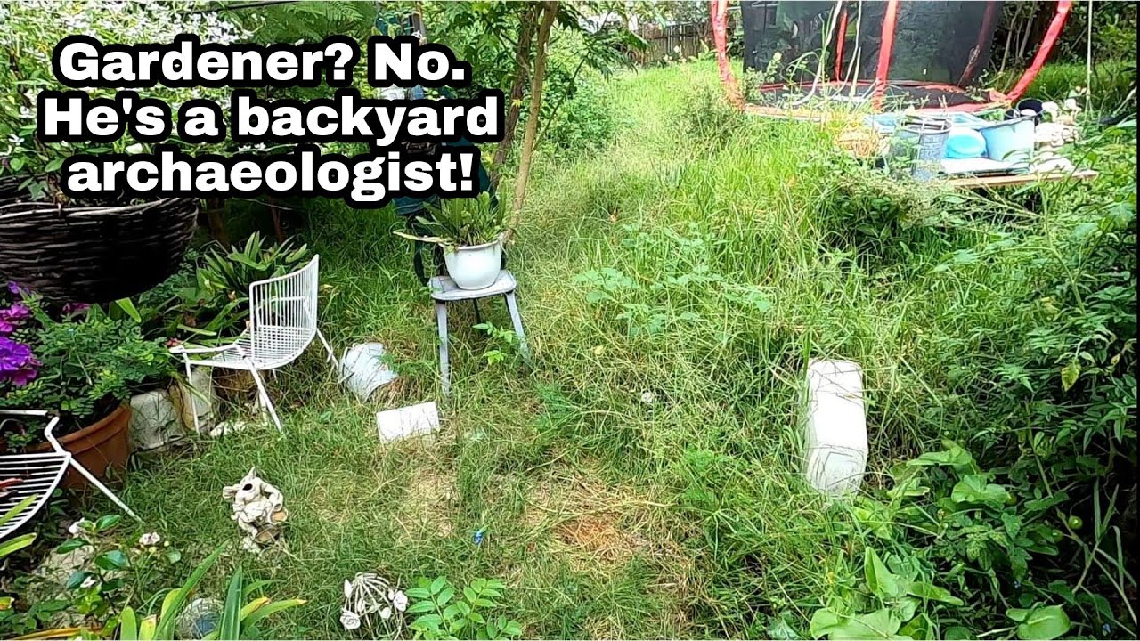 FANTASTIC YARD RESCUE! $0 charged to this client!!!