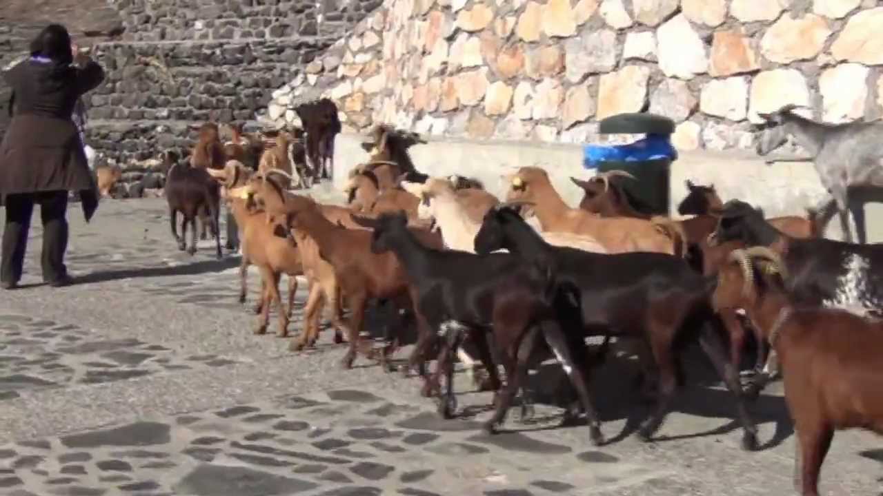 Salobreña las cabras y la playa 01