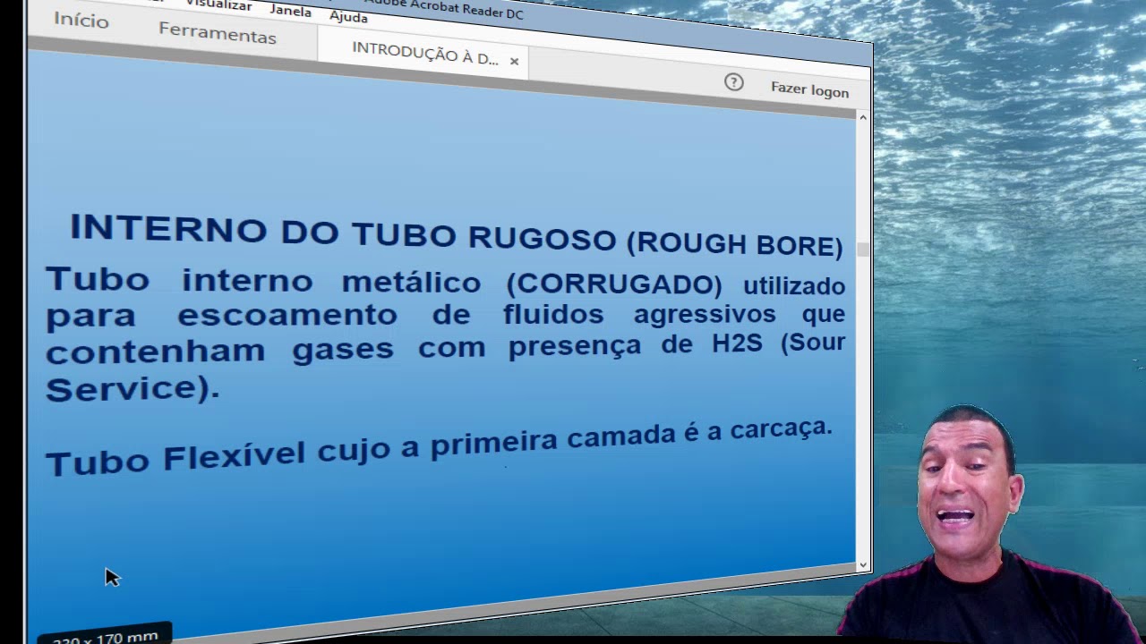 Introdu&ccedil;&atilde;o a Dutos Flexiveis Flexible Pipe