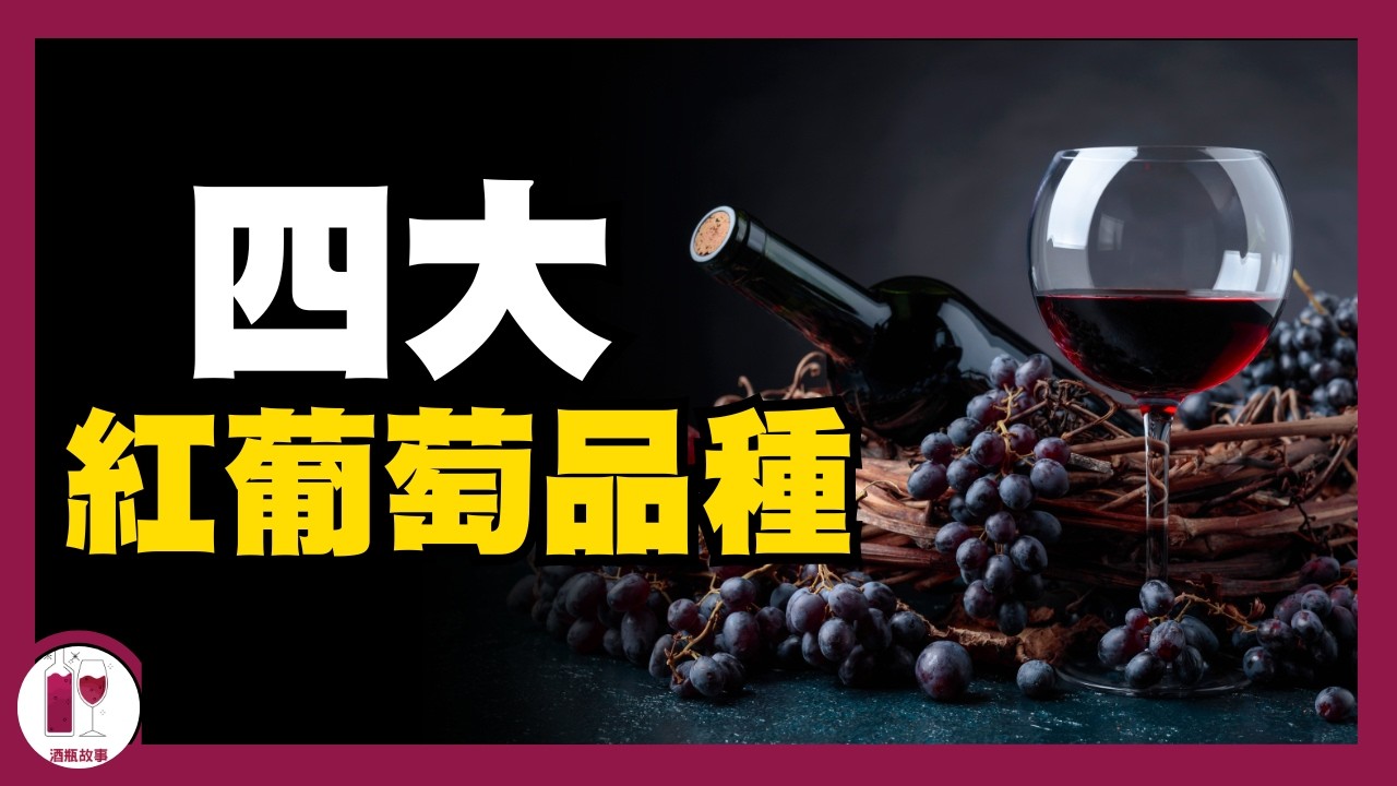 【品酒技巧】四款必須認識的紅葡萄品種，讓你看起來像葡萄酒專家｜葡萄酒入門 | 葡萄酒知識 | 認識它們，就認識全世界一半的葡萄酒風格｜全球廣泛種植的葡萄酒品種（紅葡萄篇） (粵語中字) 【酒瓶故事】