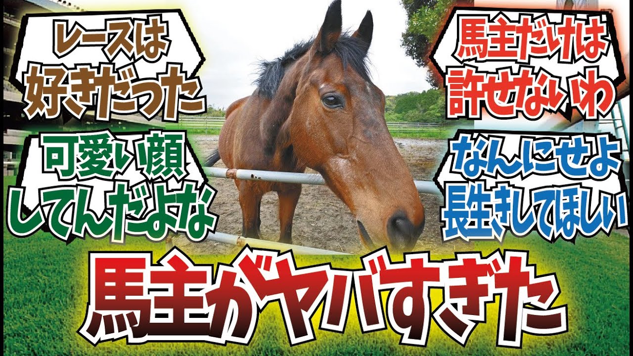 「甘えて鳴くほどかわいいハルウララ」に対するみんなの反応集