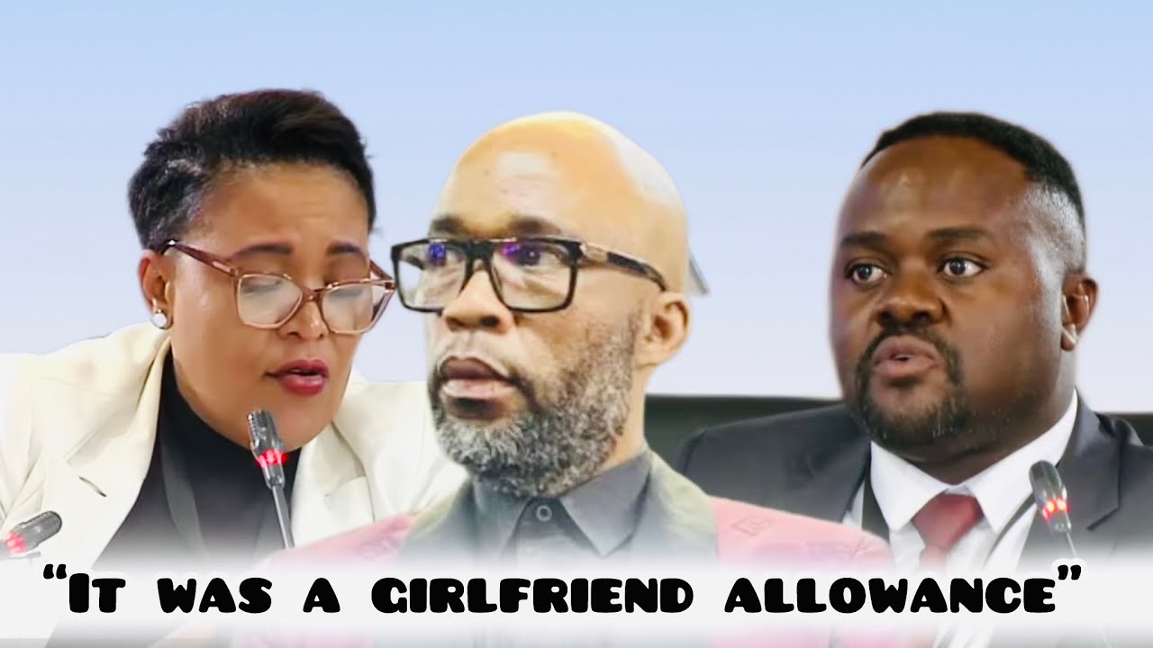 WATCH | Brigadier Matjeng says money from Matlala was a girlfriend allowance, not a favour