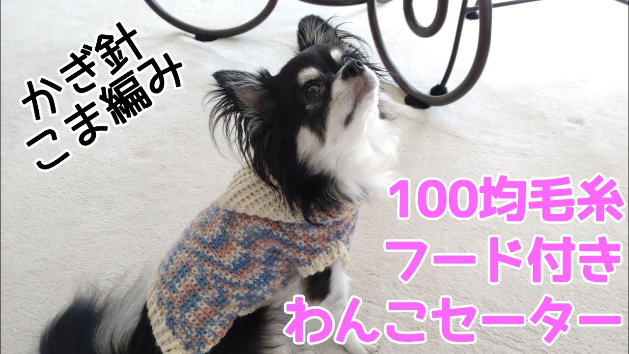 【かぎ針犬用セーター】こま編みだけで可愛い模様のひつじくんで簡単な小型犬のセーター（フード付き）を編んでみました