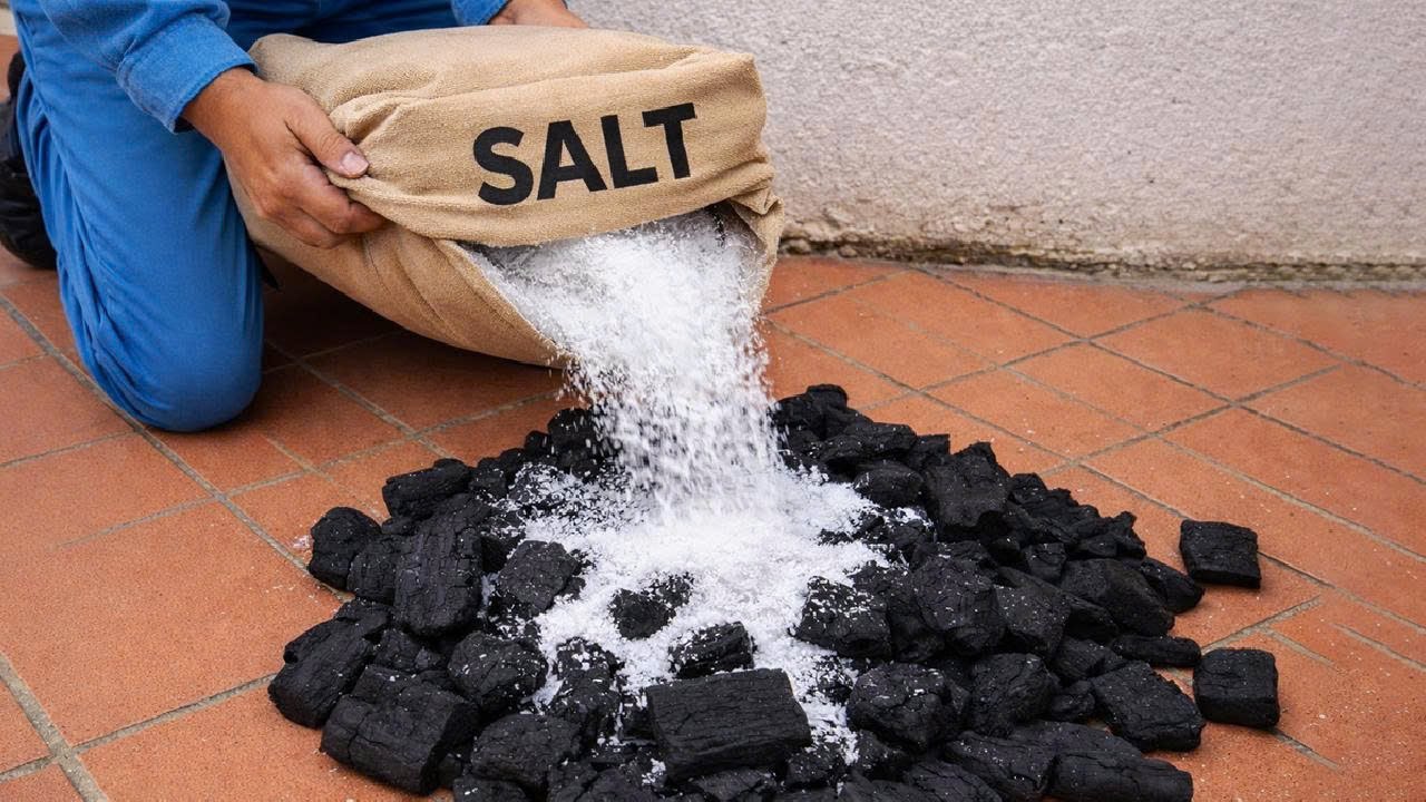 Смешайте древесный уголь и соль! Большинство людей даже не догадаются, что произошло 😱