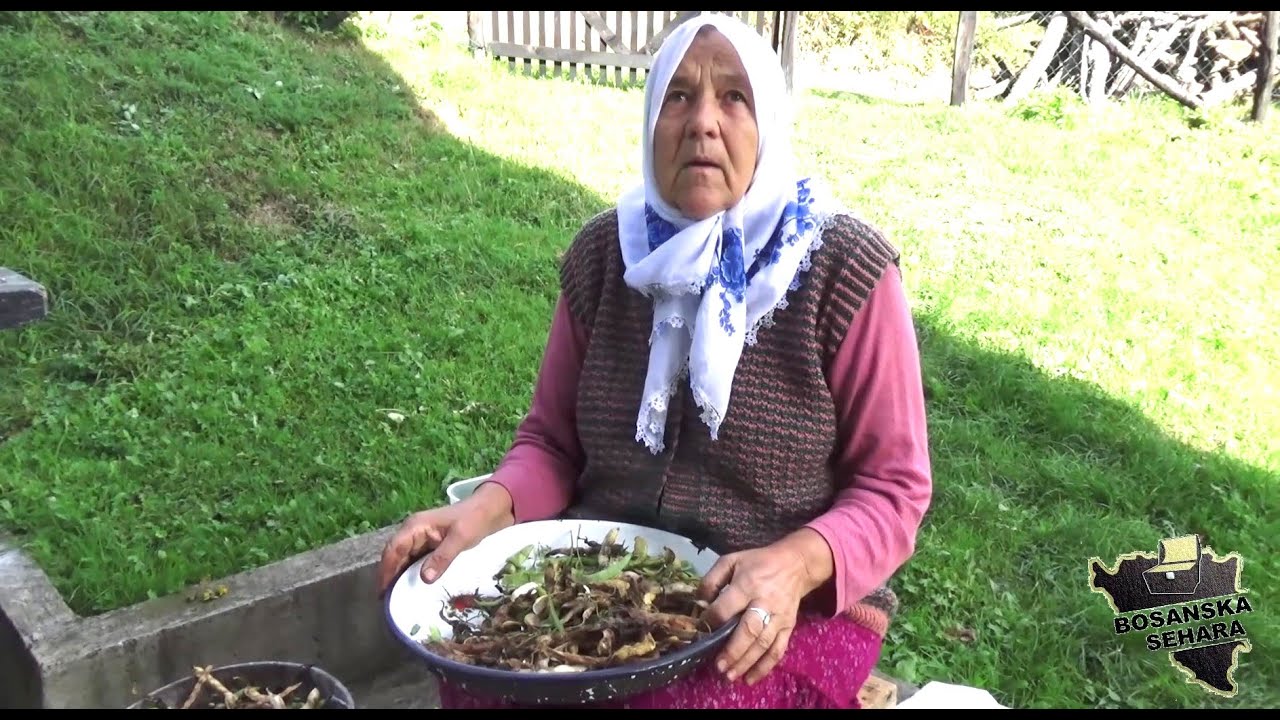 Medvjedi,vukovi,krmci,lisice su dijo naše svakodnevnice