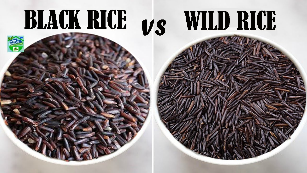 Have You heard of Black Rice and Wild Rice ? Know the Difference !