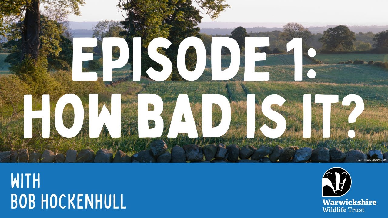 Ep 1. How bad is it? FULL PODCAST
