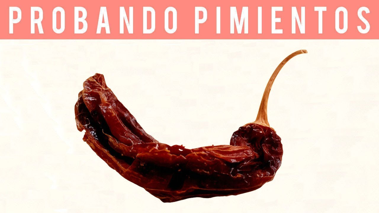 ⚪🌶️Probando AJÍ PANCA SECO | TASTING DRIED PANCA CHILI🔥