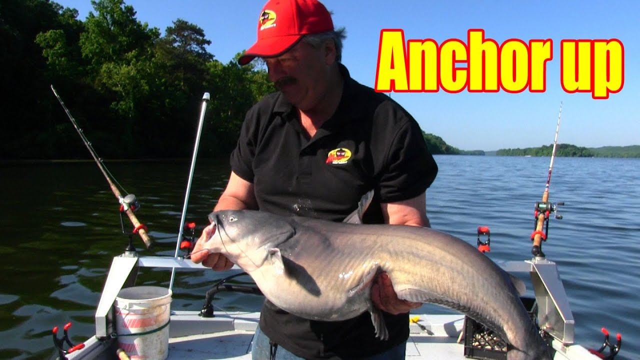 Anchor Up on Wood Cover to Catch Catfish