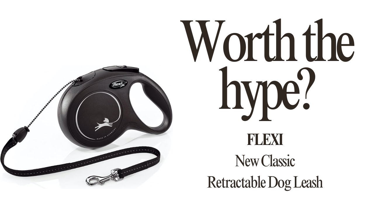 Review and Demo: FLEXI New Classic Retractable Dog Leash