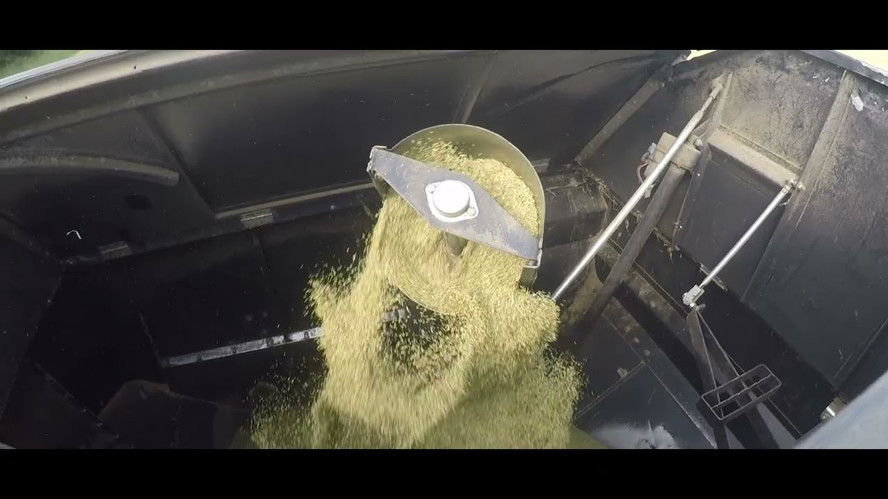 When the Free Bird kicks in #agriculture #britishfarming