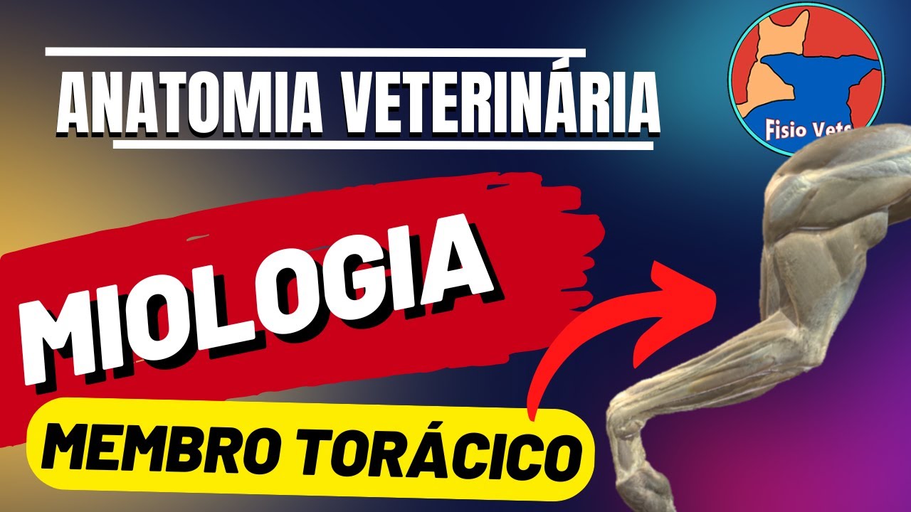 Miologia veterinária - Músculos do membro torácico