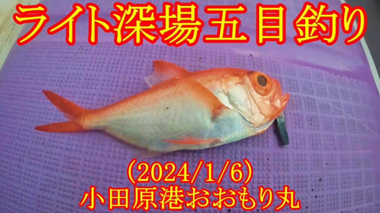 【真鶴沖でライト深場五目釣り】LTキンメ・クロムツの釣り方を検証！？