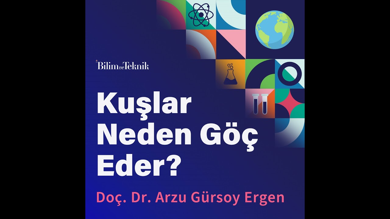 Kuşlar Neden Göç Eder? Göçmen Kuşlar ve Kuş Göçlerinin Gizemlerine Bilimin Merceğinden Bir Bakış