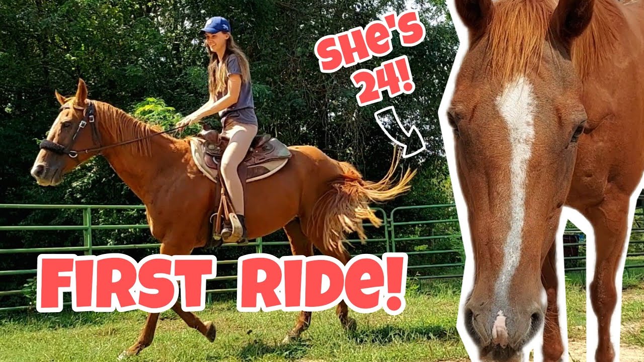 SURPRISING First Ride On Our Rescue! | Bitless Evaluation