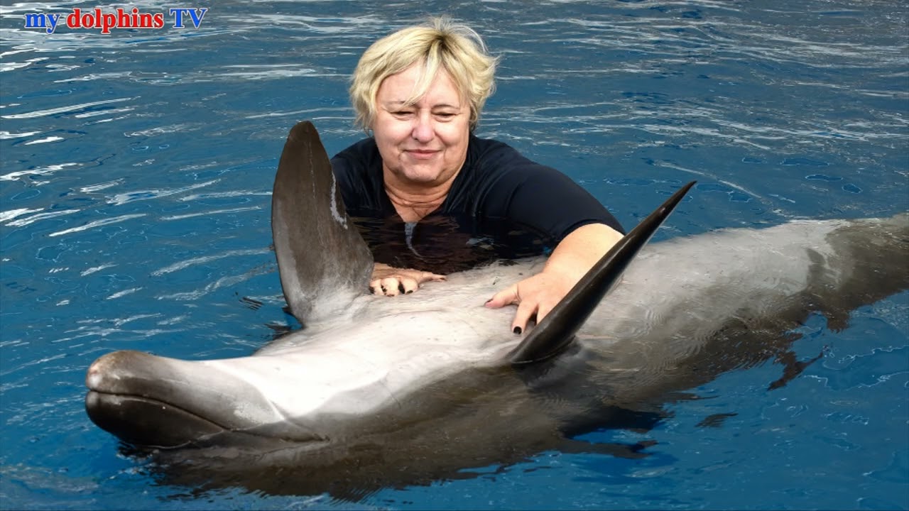 Silkes therapeutisches schwimmen mit Delfinen