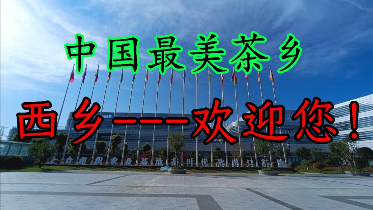 中国最美茶乡，西乡欢迎您！