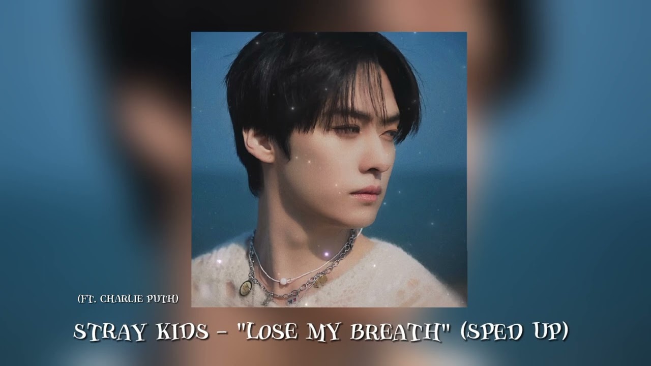 stray kids - 