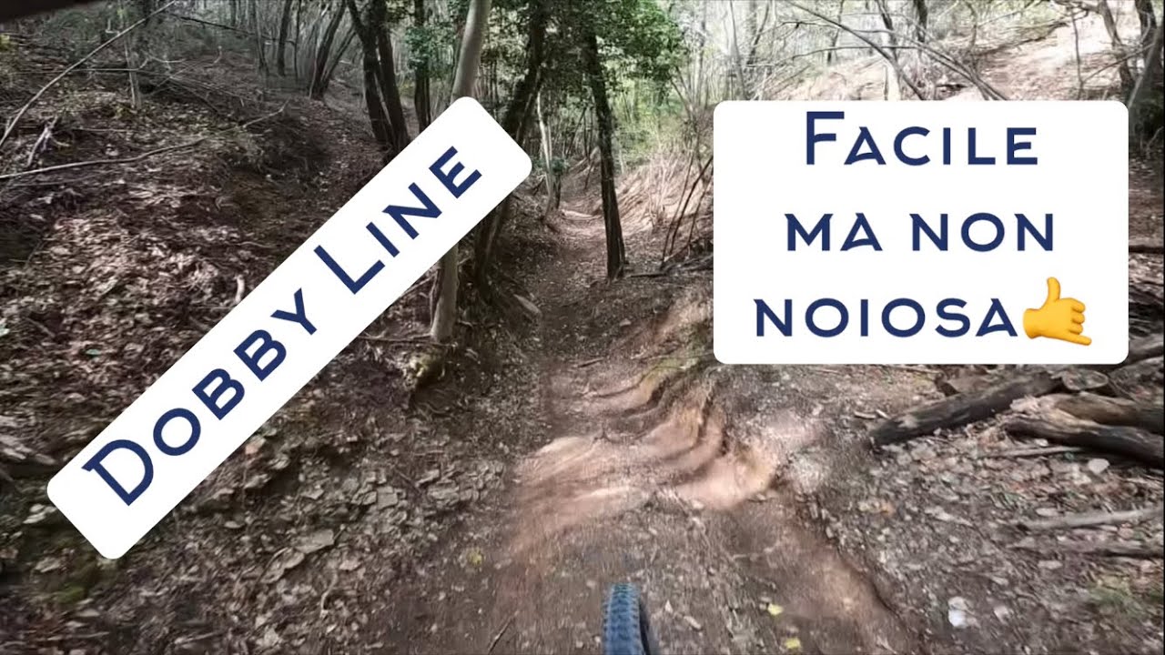 Cesane Bike Park….Dobby Line🟦