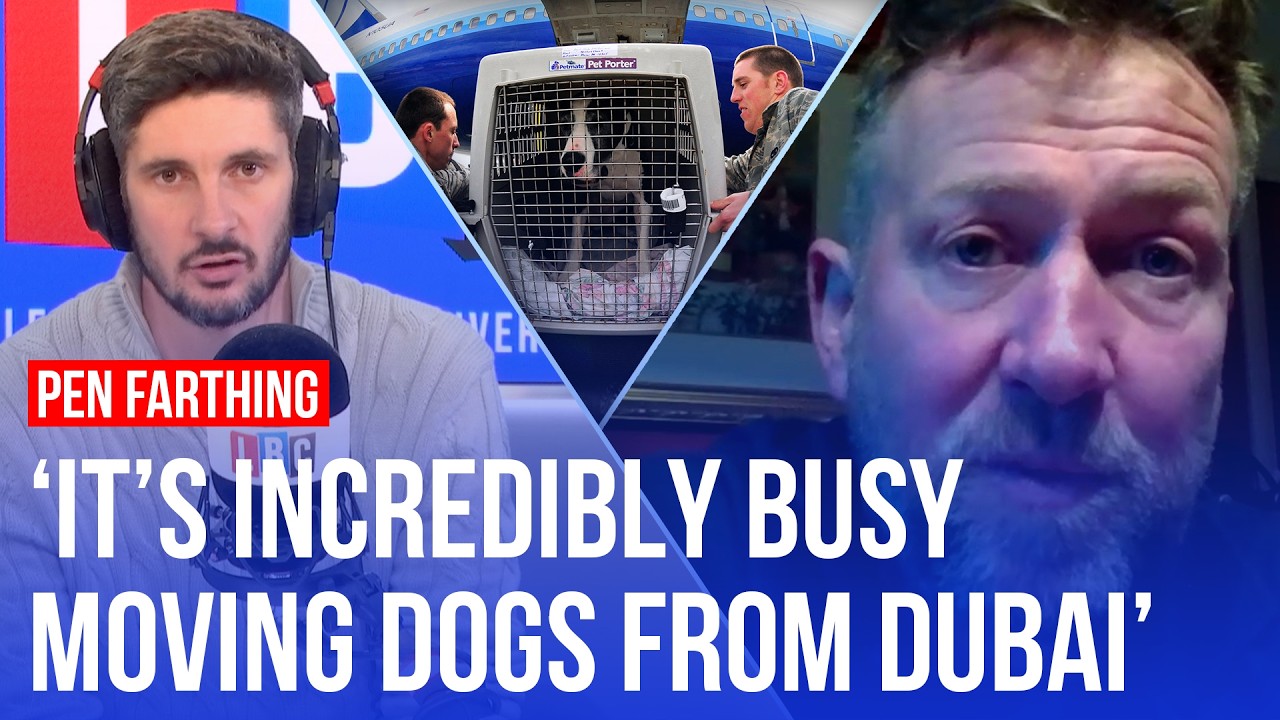 US-Iran war: Should we evacuate pets from Dubai?