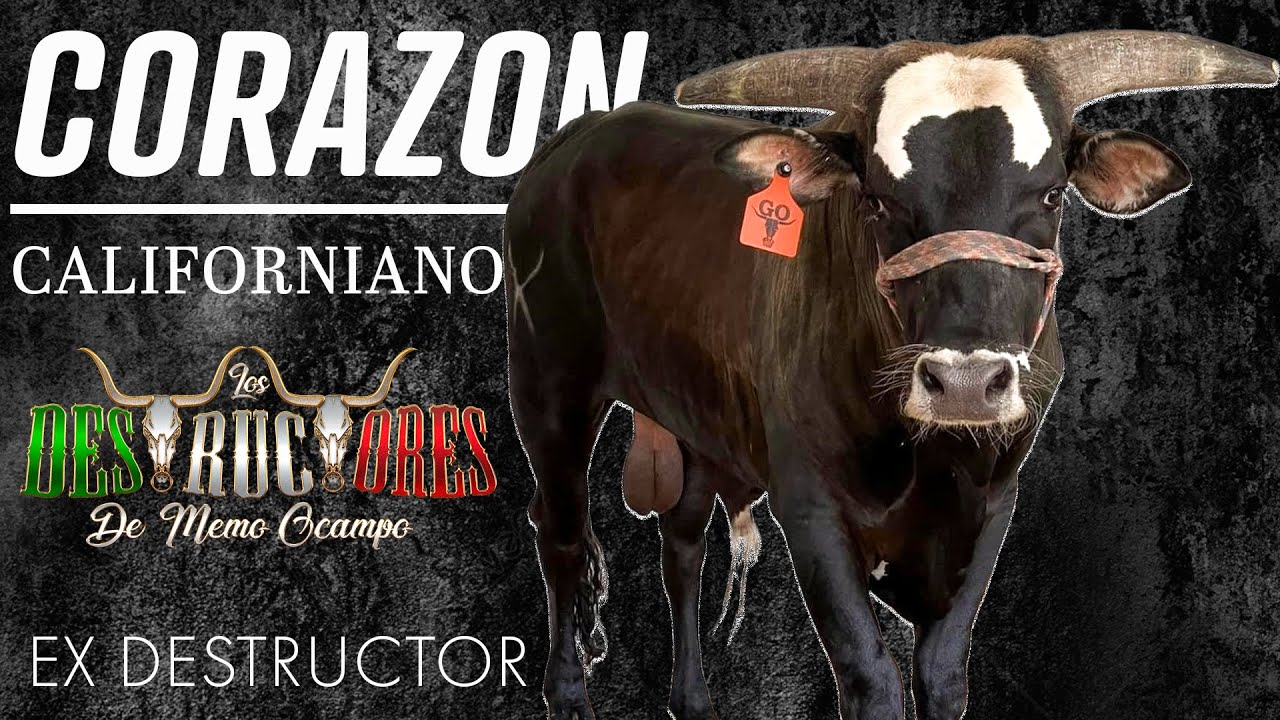 UN EX DESTUCTOR CORAZON CALIFORNIANO