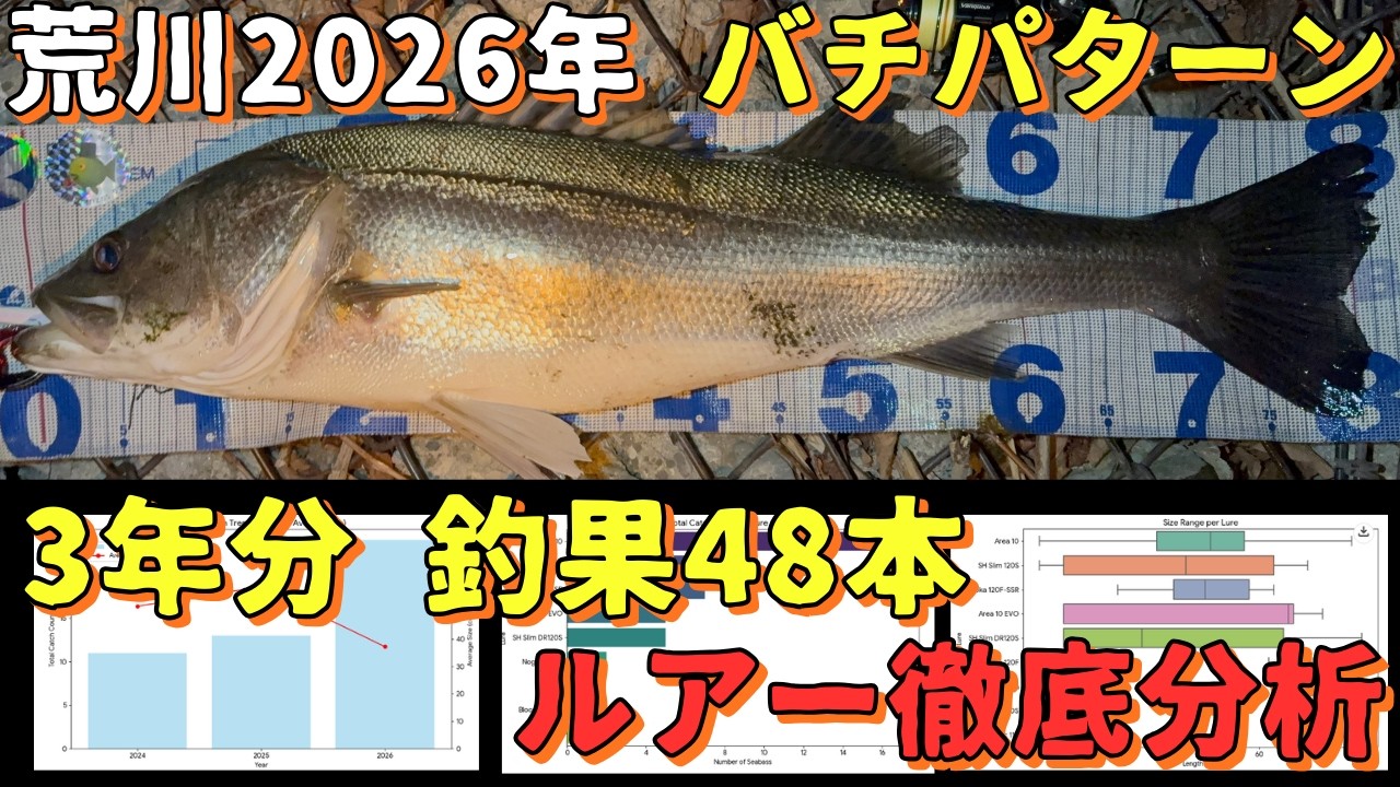 【荒川】2026年バチパターン3年分の釣果48本のルアーを分析・シーバス釣り