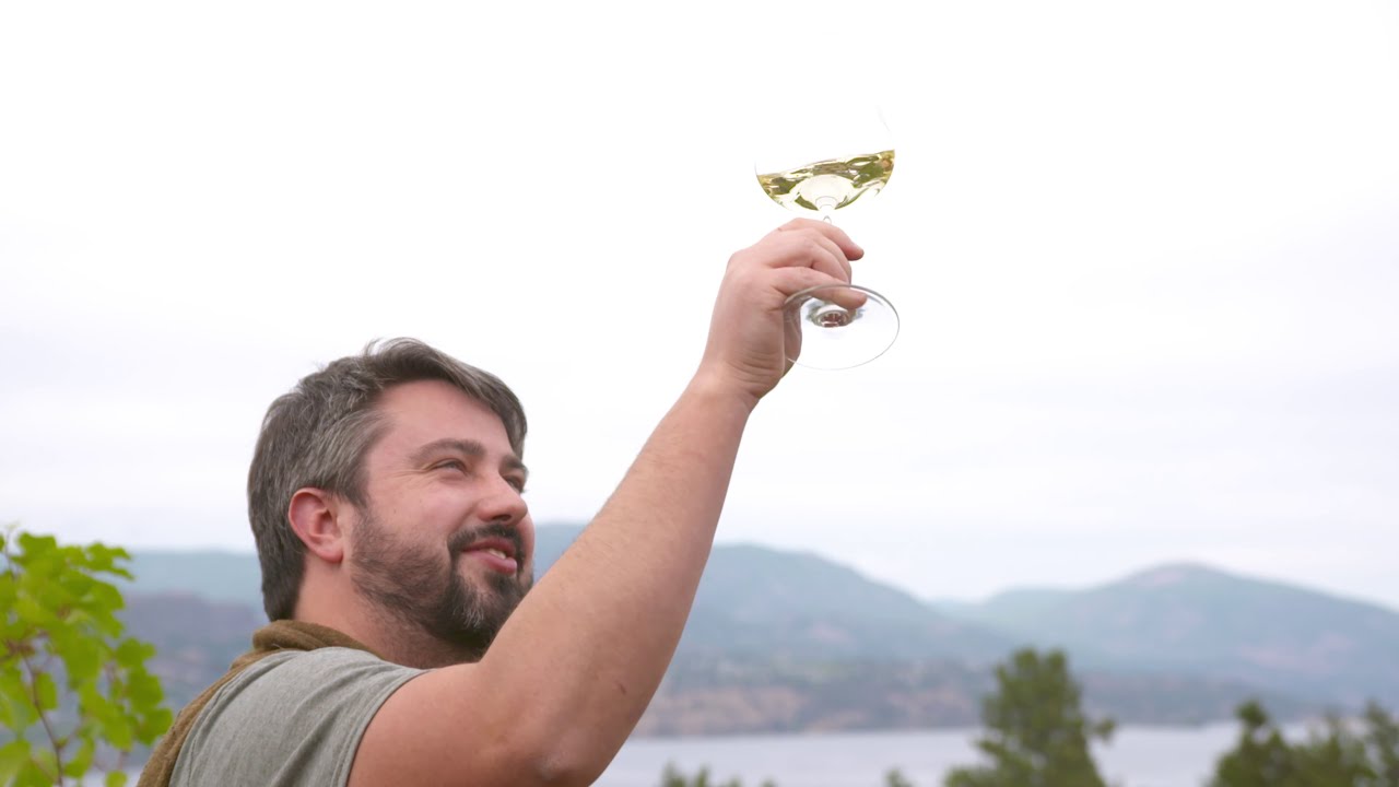 BC Winemakers In the Vineyard Fall 2020