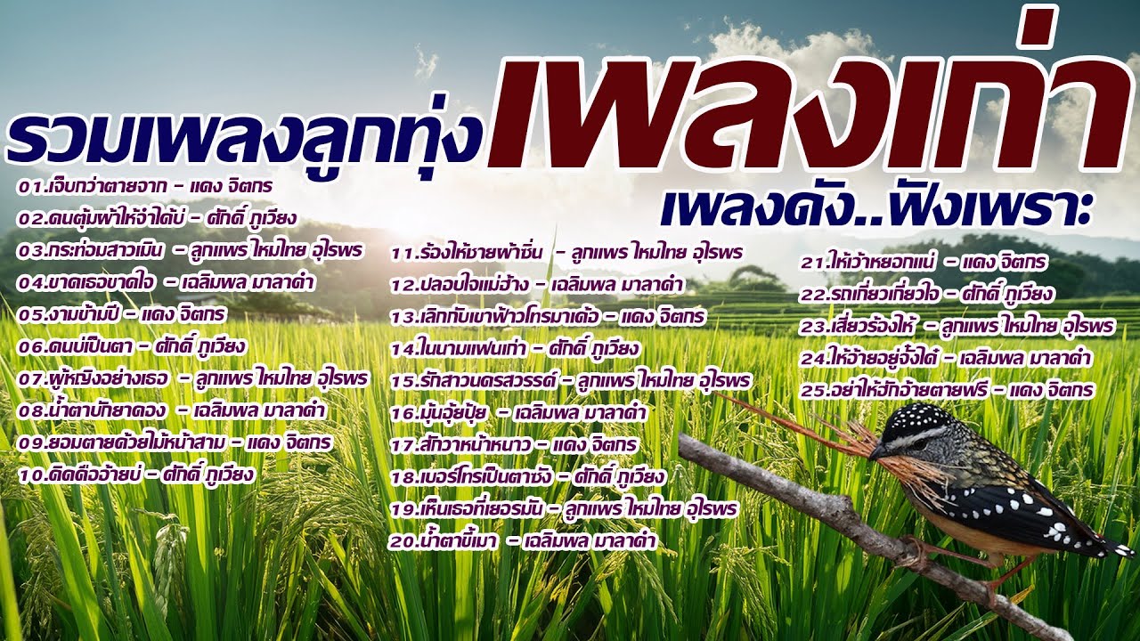รวมเพลงลูกทุ่งเก่าเพลงดังฟังเพราะ