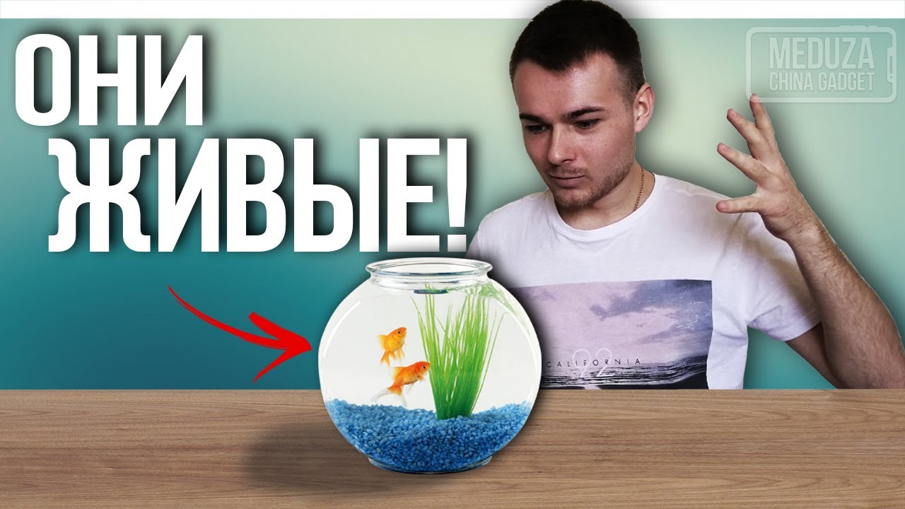 Заказал НАСТОЯЩИХ АКВАРИУМНЫХ РЫБОК с AliExpress! - МОЙ САМЫЙ НЕСТАНДАРТНЫЙ ЗАКАЗ из Китая