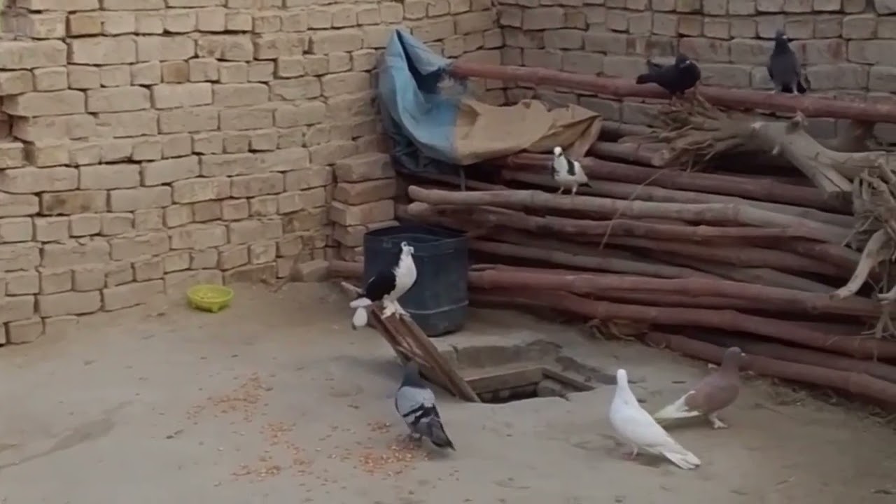 Jameen dost Khuda ki nakami 