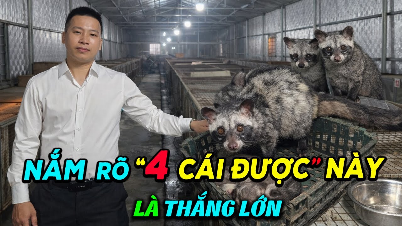 Nằm Lòng 4 