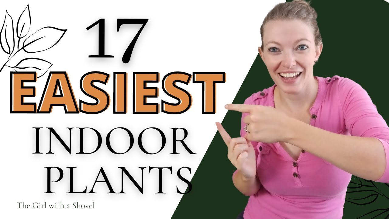 17 EASY Indoor Plants for Beginners! (You CAN Keep Alive!)
